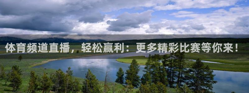 赏金国际pg正版官网入口