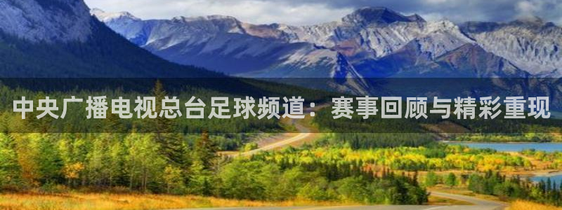 赏金国际