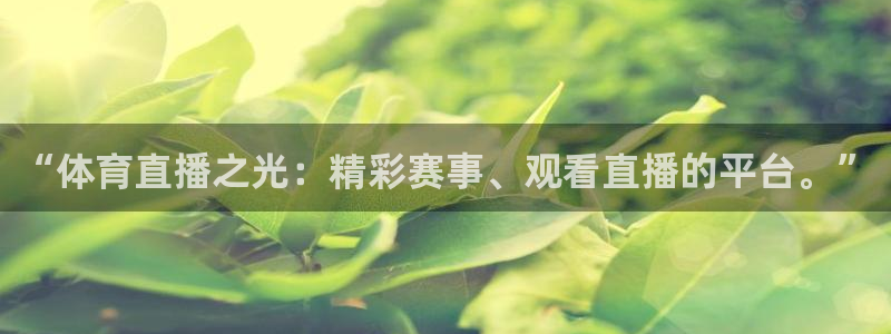 赏金国际下载链接