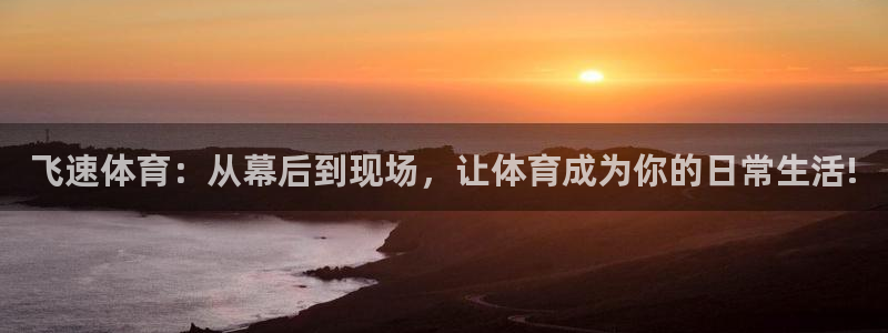 赏金国际下载链接