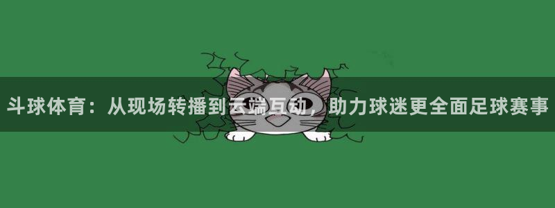 赏金国际下载链接
