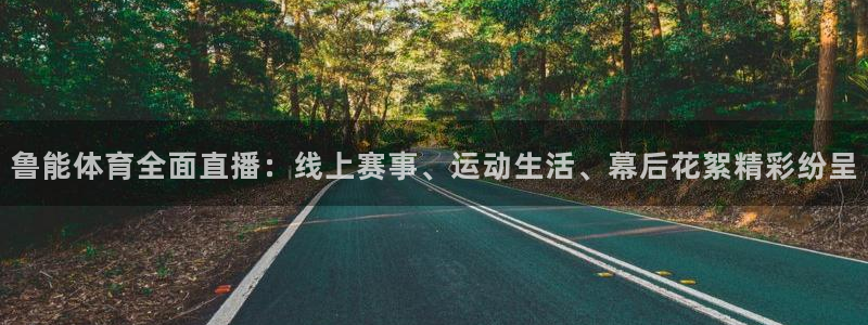 赏金国际pg链接入口