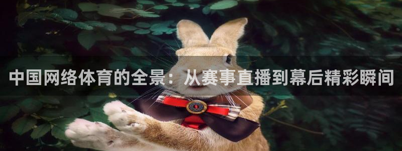 赏金游官方网站入口
