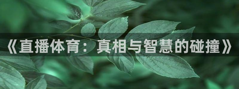 赏金国际pg正版官网版下载安装