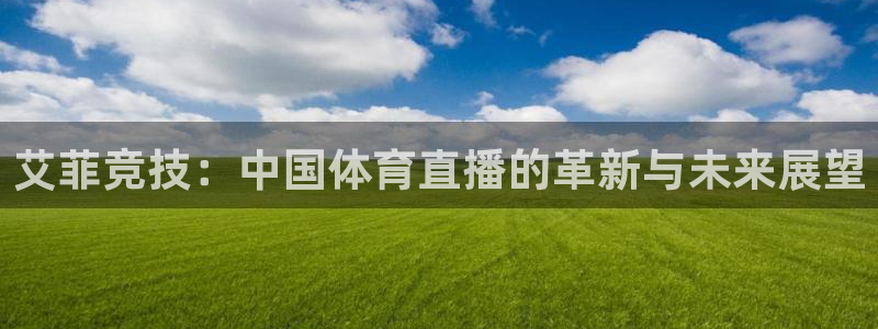 赏金国际下载