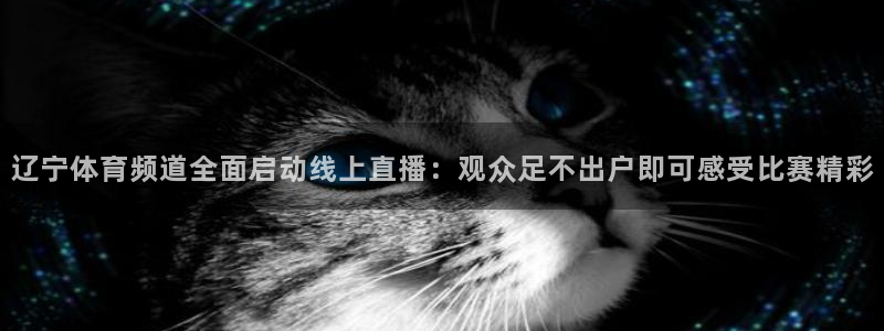 问鼎国际赏金女王pg官网入口下载